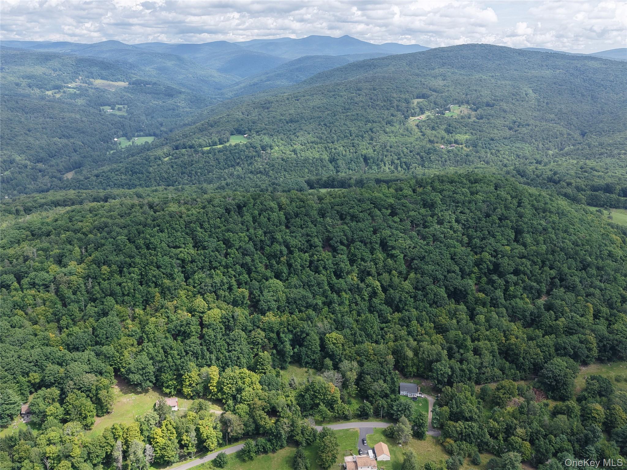 Twinshaven Road Neversink, NY 12765 - Photo 5 of 20 Gallery Image 5