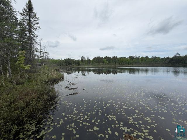9064 Peppard Road Britt, MN 55710 - Photo 12 of 40 Expansive waterfront featuring lily pads, mature trees along the shoreline, and reflections on the water's surface