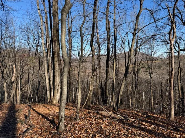 a view of a backyard of the house