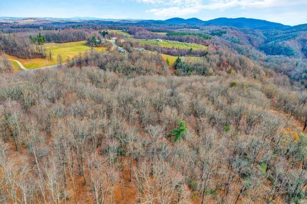 a view of a backyard with wooden fence