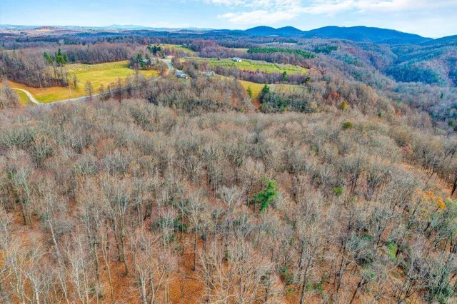 a view of a backyard with wooden fence