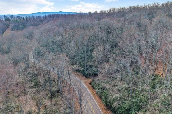 a view of a dry yard