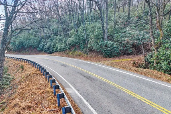 a view of a yard next to a road