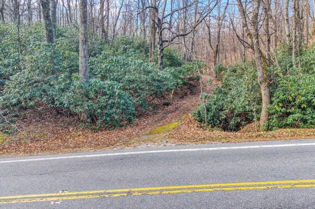 a view of a yard with a bench and plants