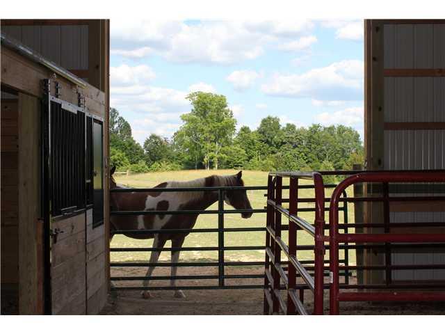 4595 Turkey Track Road Martinsville, IN 46151 - Photo 22 of 24 Gallery Image 22