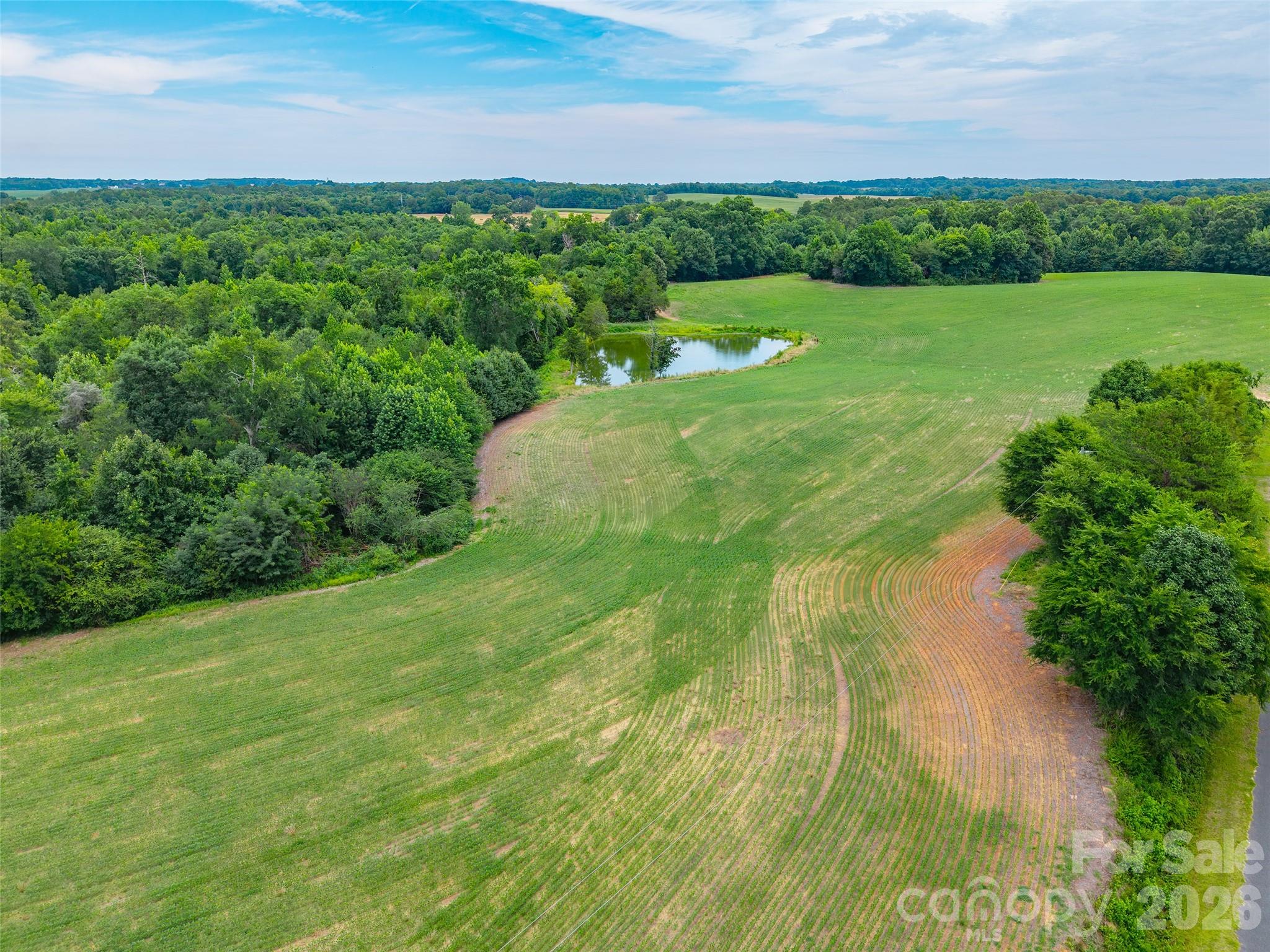 0 John Doster Road Pageland, SC 29728 - Photo 6 of 12
