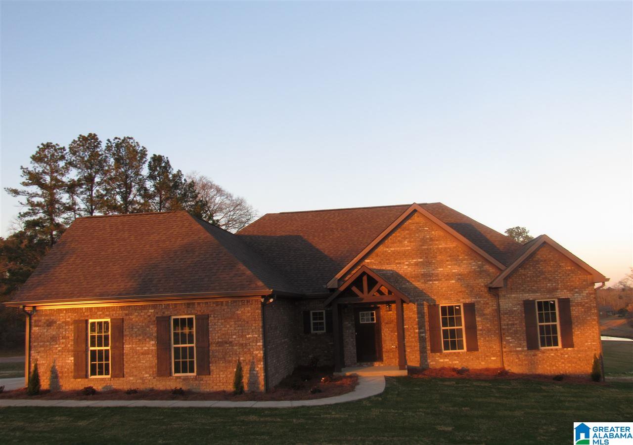 10 County Road 862 Clanton, AL 35045 - Photo 2 of 37