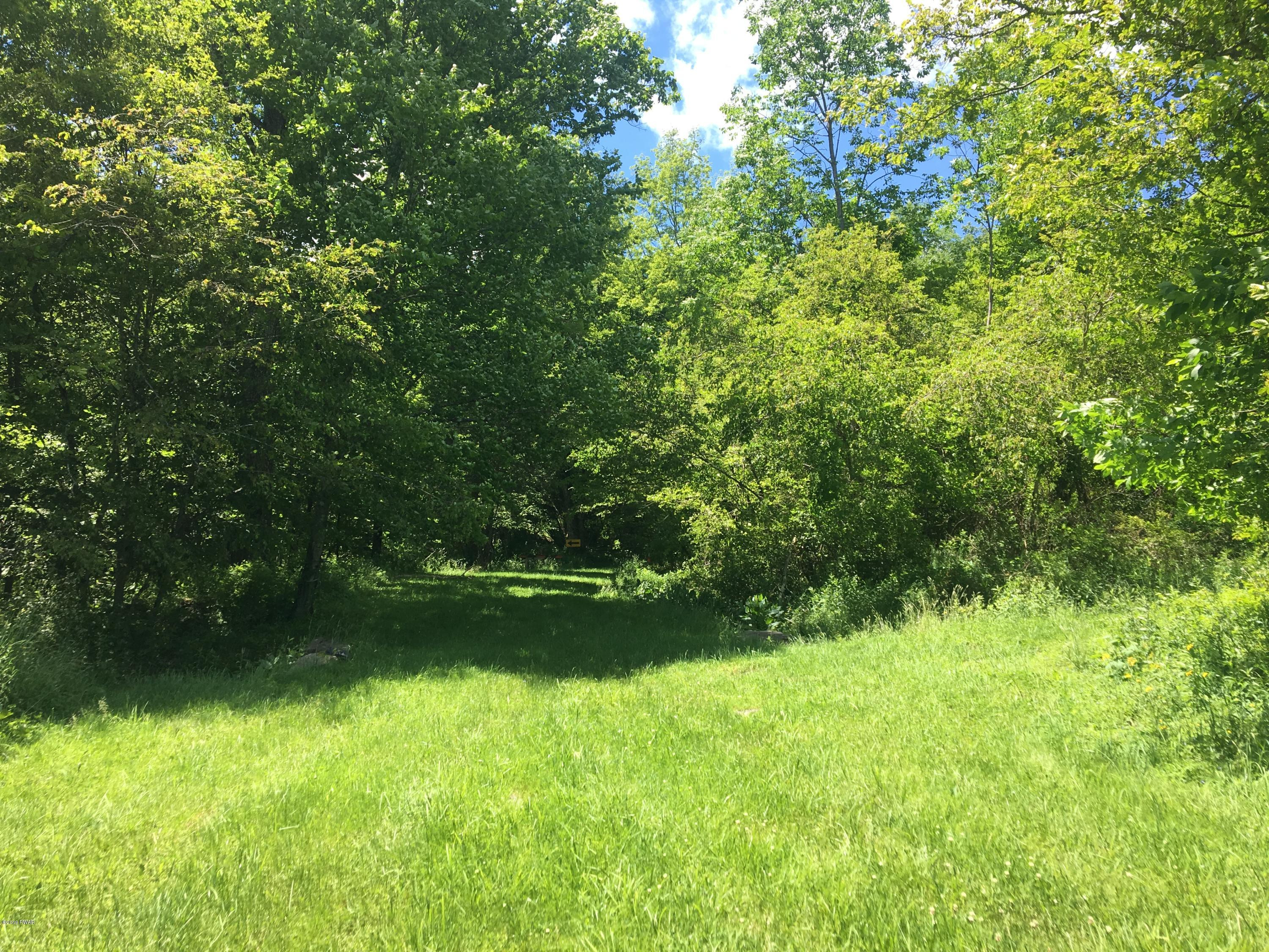 1199 Pine Mill Road Equinunk, PA 18417 - Photo 8 of 27