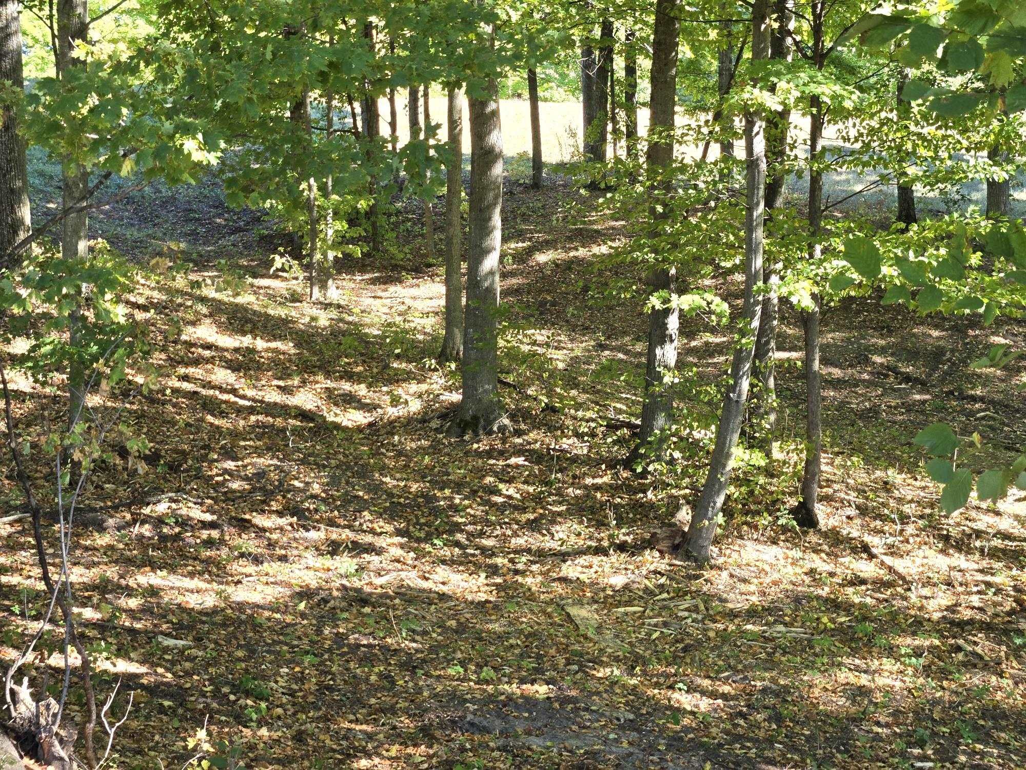 12 Heather Ridge Trail Beulah, MI 49617 - Photo 4 of 8