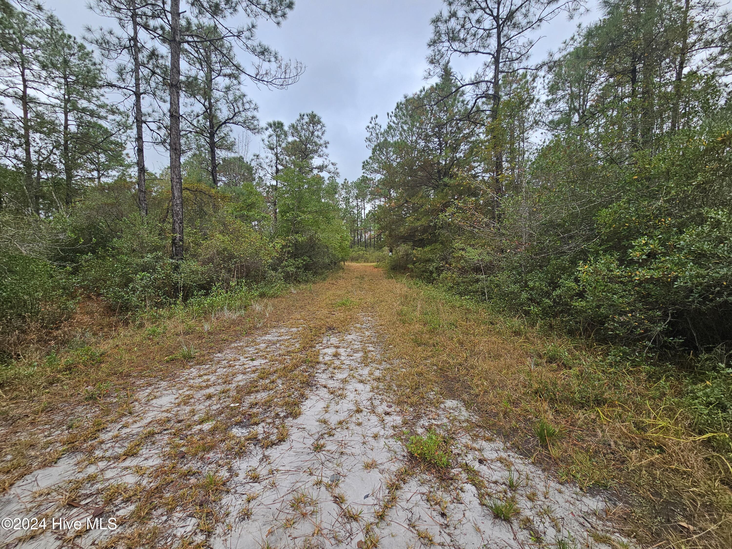 Lot 54 3rd Road Southport, NC 28461 - Photo 3 of 10 20241115_092348