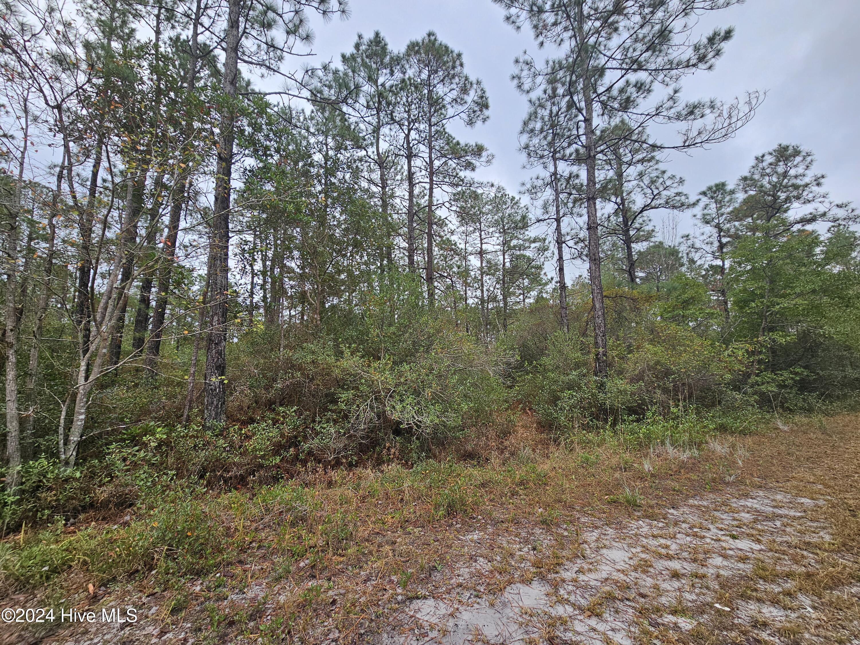 Lot 54 3rd Road Southport, NC 28461 - Photo 5 of 10 20241115_092336