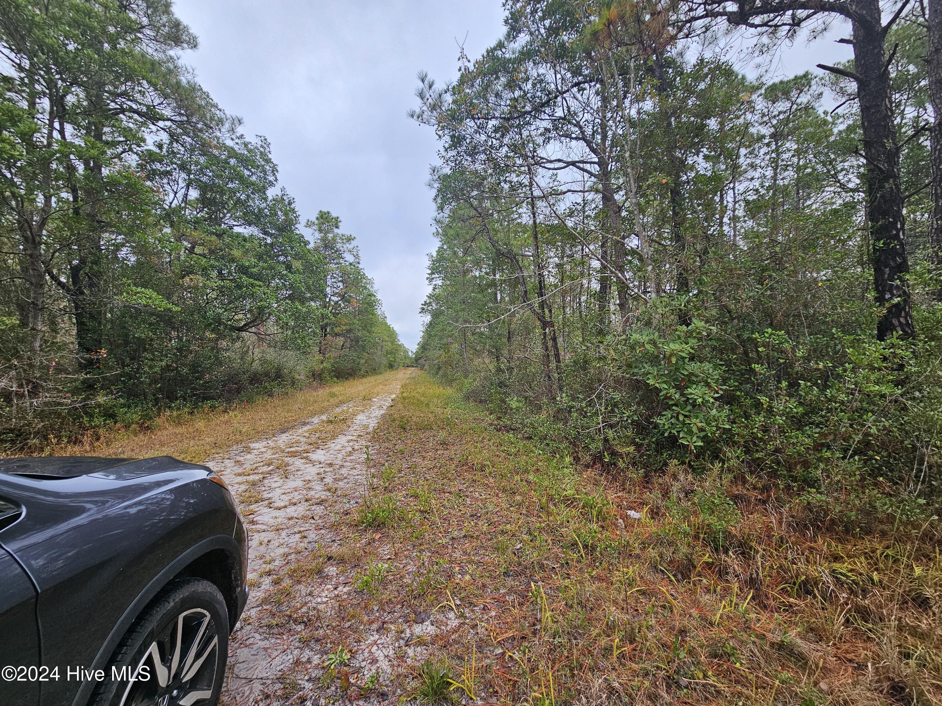 Lot 54 3rd Road Southport, NC 28461 - Photo 8 of 10 20241115_092433