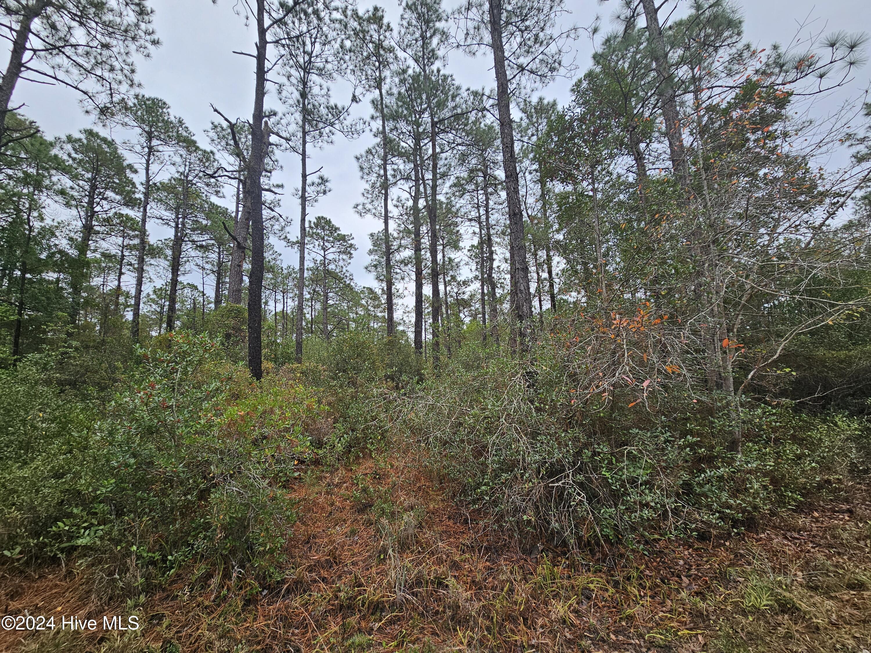 Lot 54 3rd Road Southport, NC 28461 - Photo 9 of 10 20241115_092401