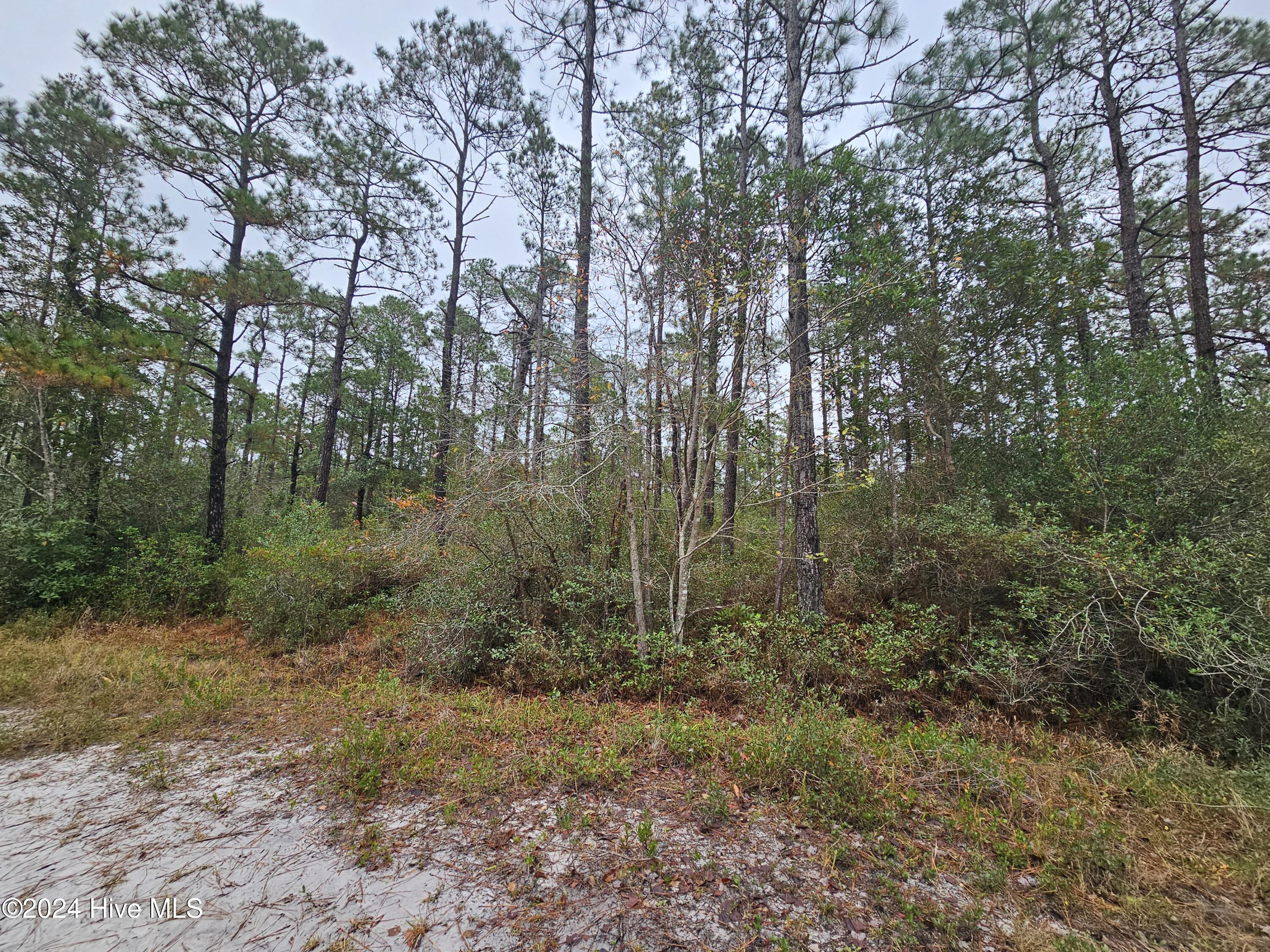 Lot 54 3rd Road Southport, NC 28461 - Photo 10 of 10 20241115_092341