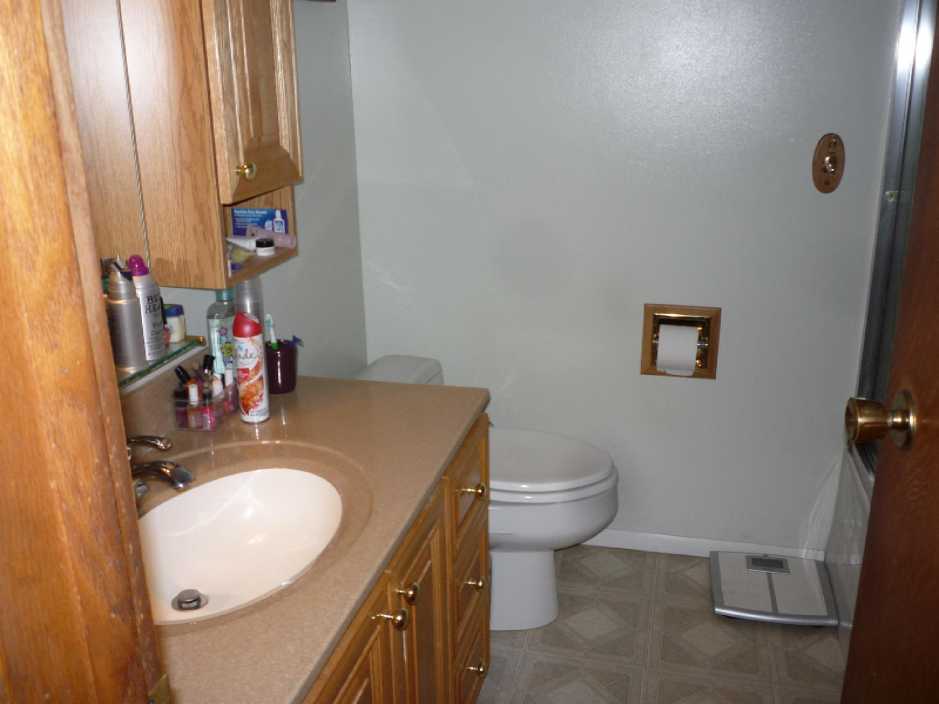 1105 Sackett Road Bronson, MI 49028 - Photo 20 of 77 P1030272