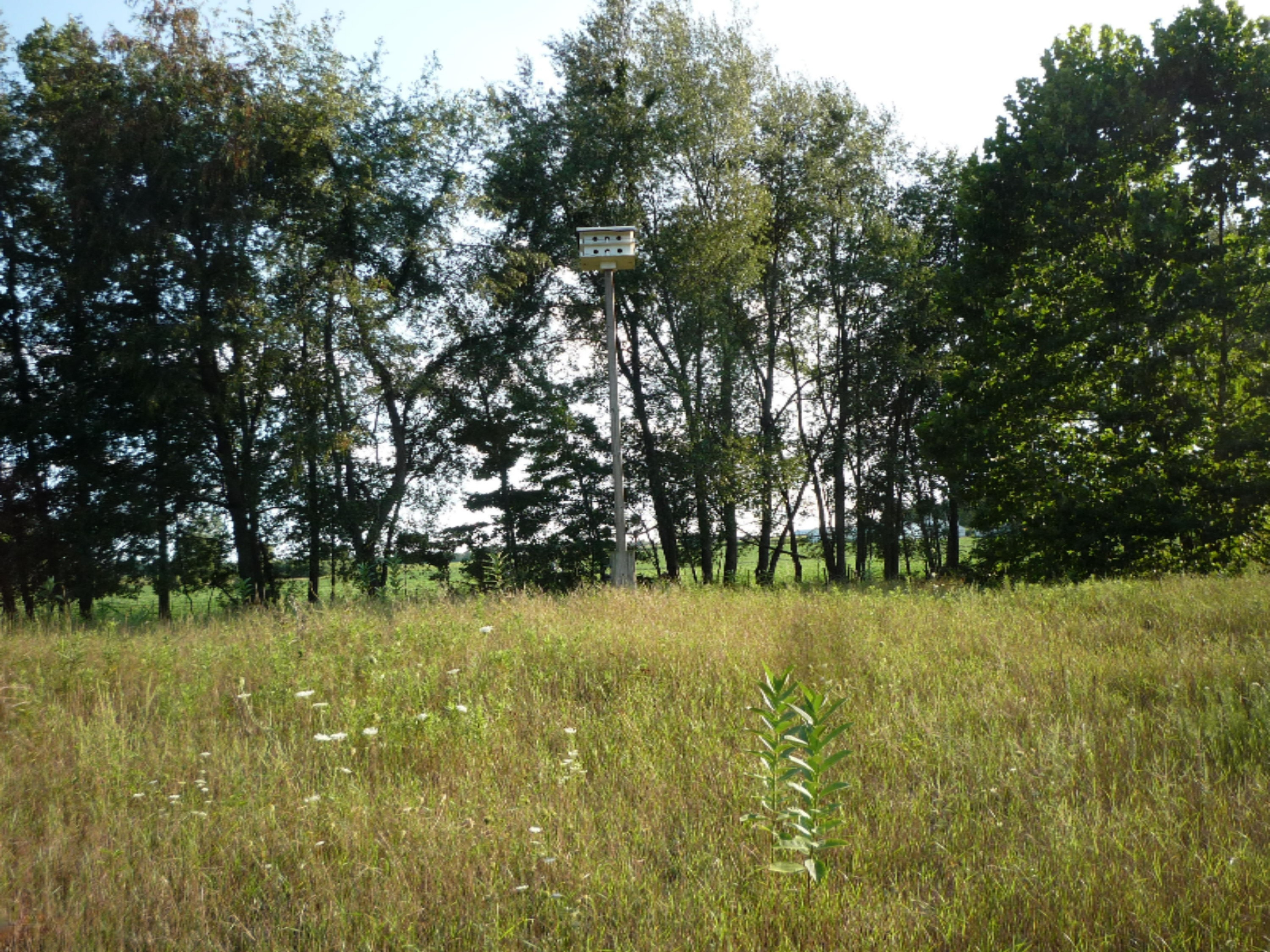 1105 Sackett Road Bronson, MI 49028 - Photo 46 of 77 P1030246