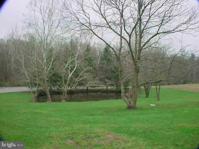 379 Bunker Hill Road Halifax, PA 17032 - Photo 5 of 7 Gallery Image 5