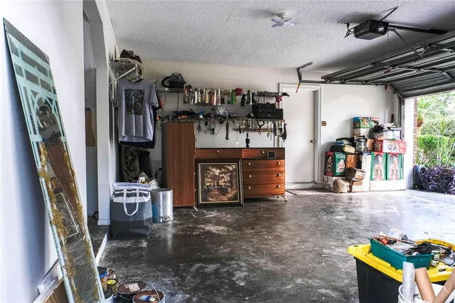 a view of a backyard with a potted plant and a large tree