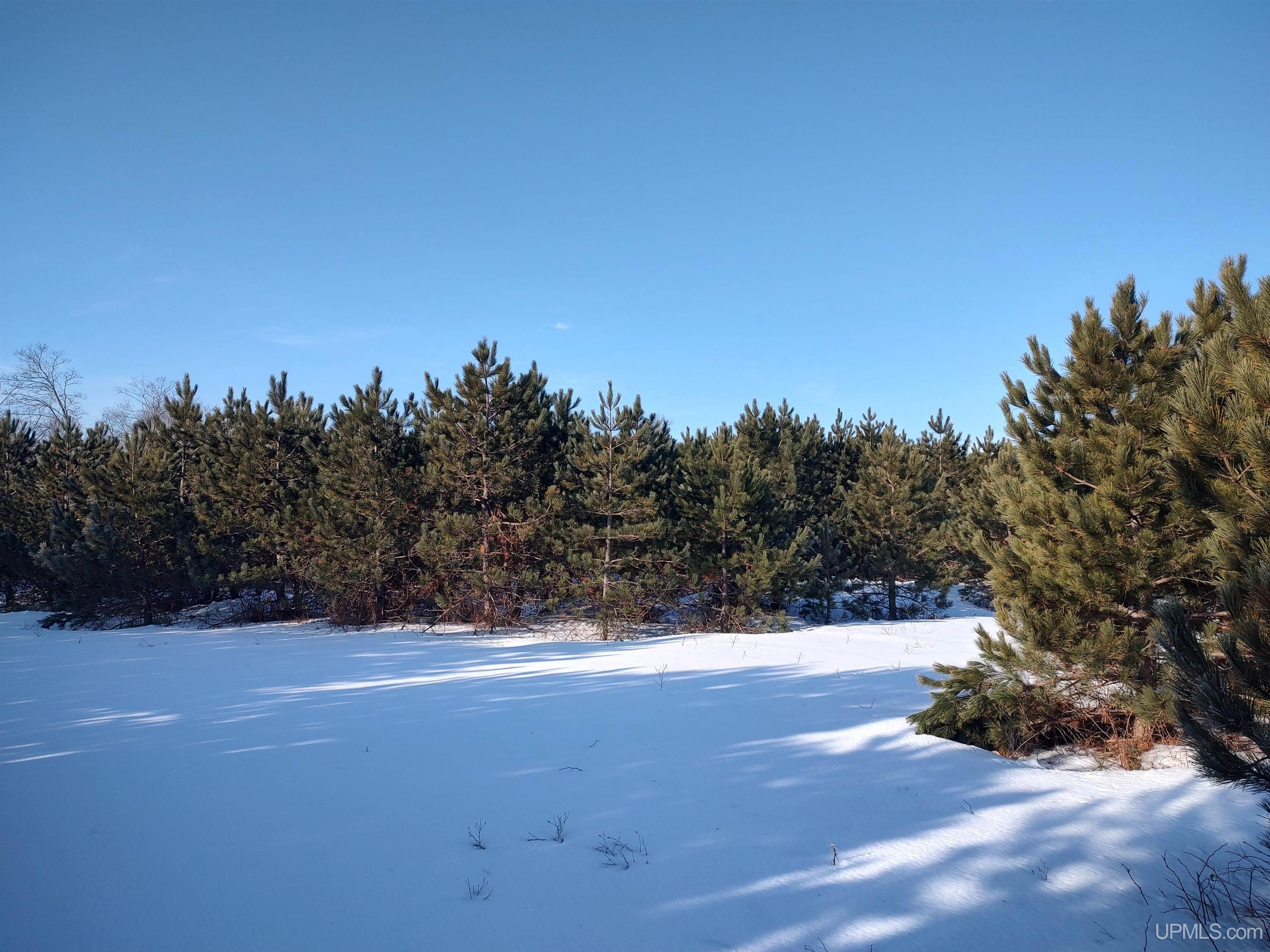 40-acres Gierke Road Manistique, MI 49854 - Photo 18 of 39
