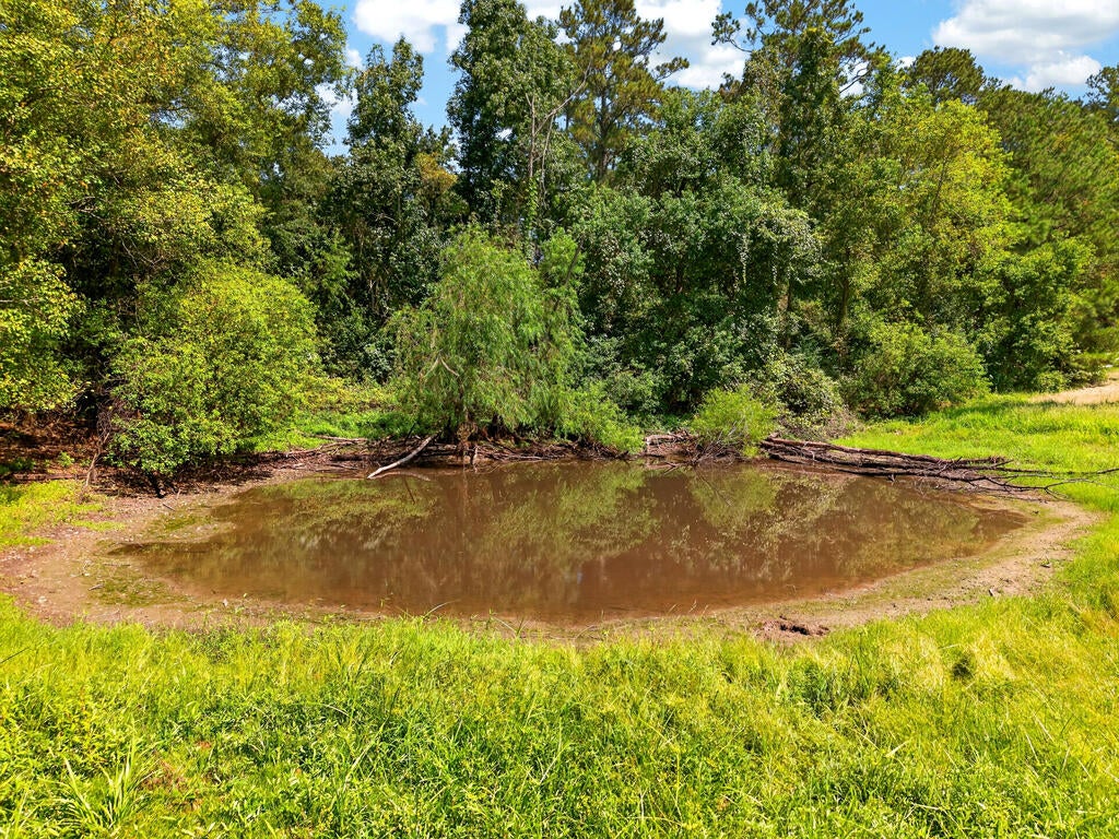26 Charlie Daughdrill Road Carriere, MS 39426 - Photo 35 of 49 Gallery Image 35