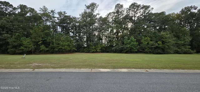 $20,000 | 710 Birch Road, Grifton, NC 28530