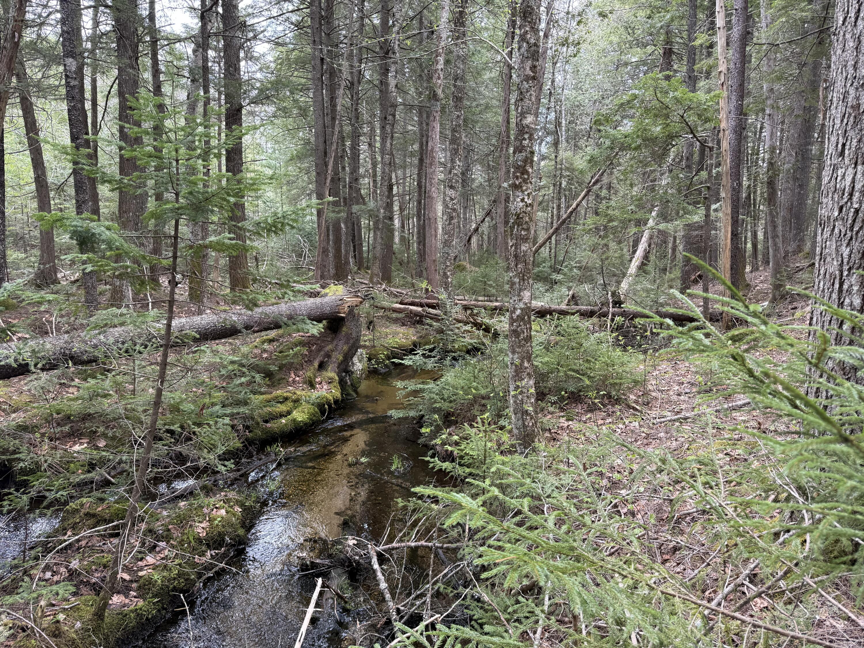 7-2 Ebens Trail Orland, ME 04472 - Photo 11 of 13 IMG_6012