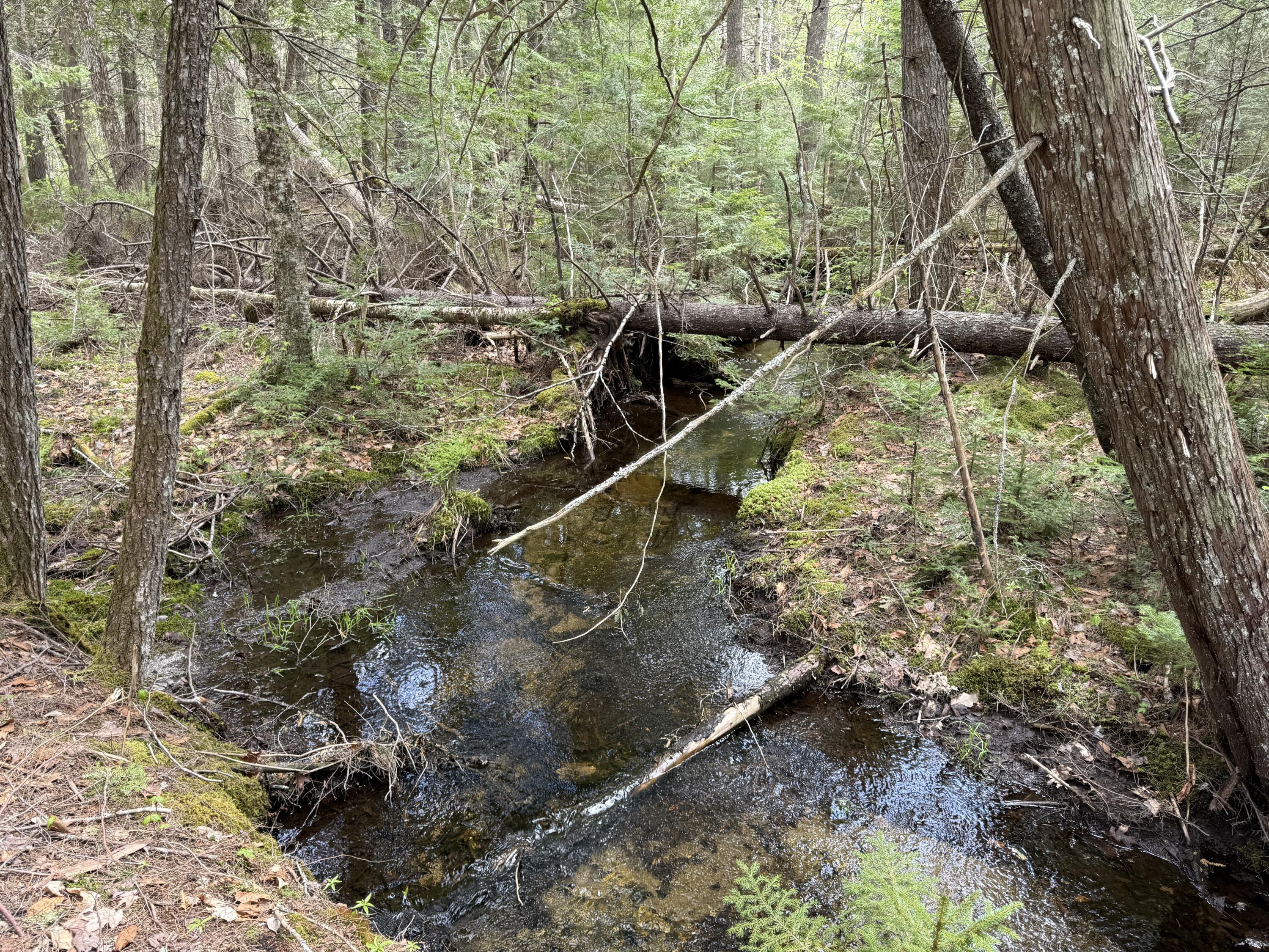 7-2 Ebens Trail Orland, ME 04472 - Photo 12 of 13 IMG_6011