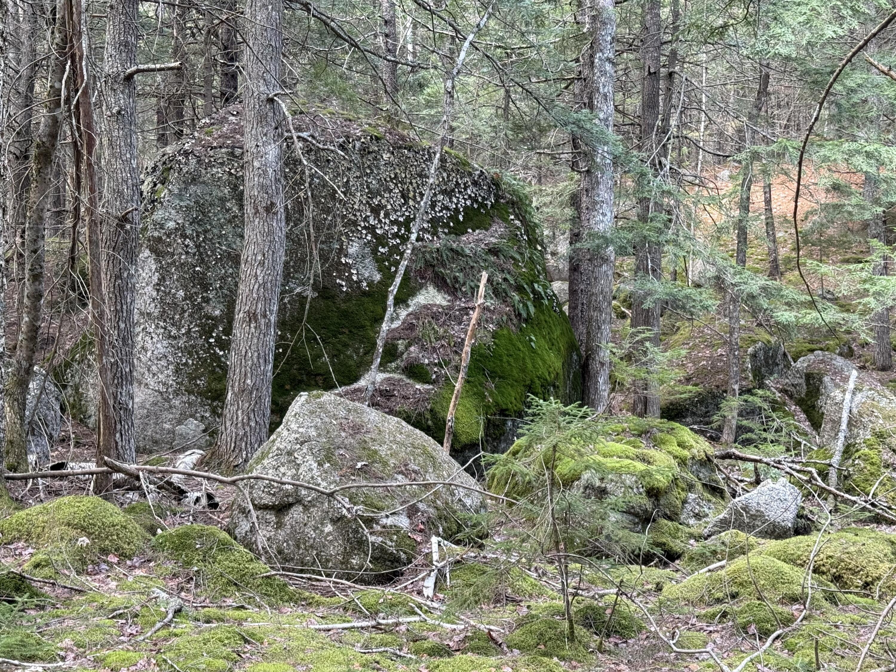 7-2 Ebens Trail Orland, ME 04472 - Photo 13 of 13 IMG_6005