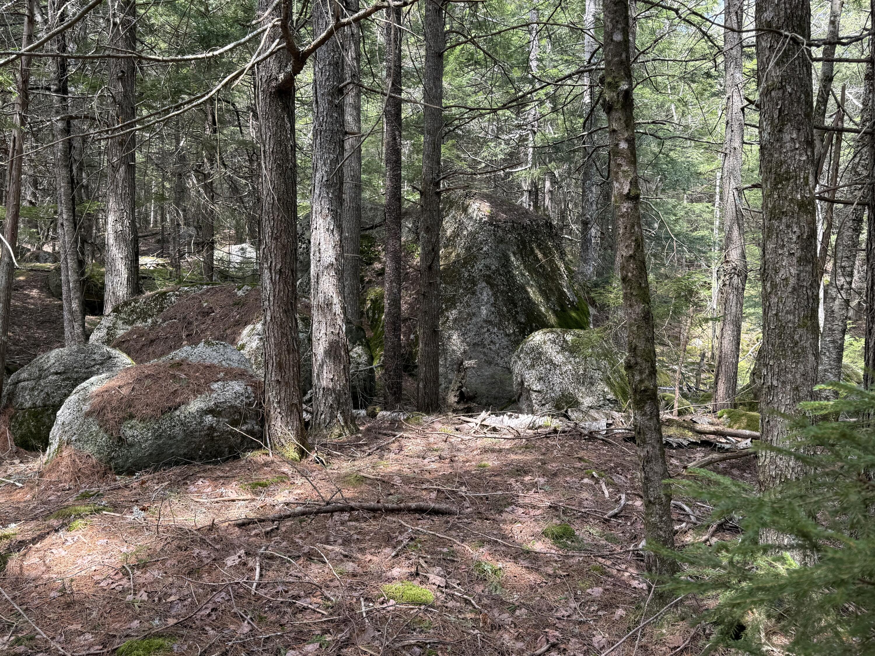 7-2 Ebens Trail Orland, ME 04472 - Photo 10 of 13 IMG_6007