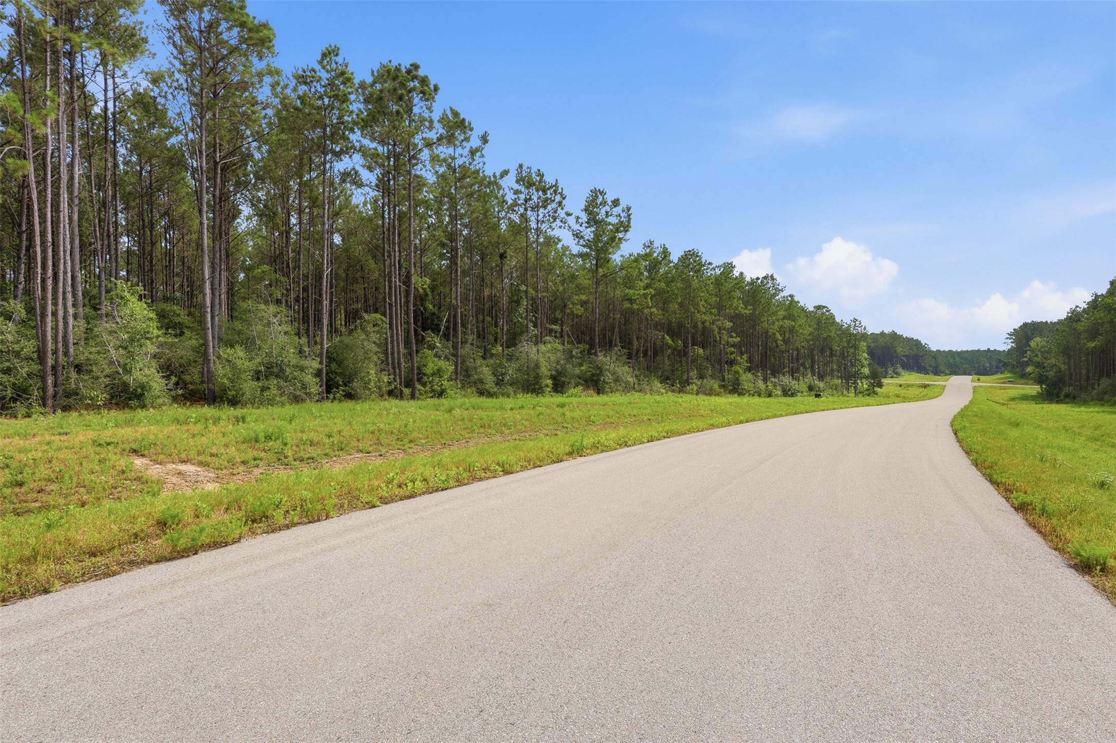 16030 Forest Mill Road Willis, TX 77378 - Photo 4 of 17 Paved road frontage with easy access throughout the community.