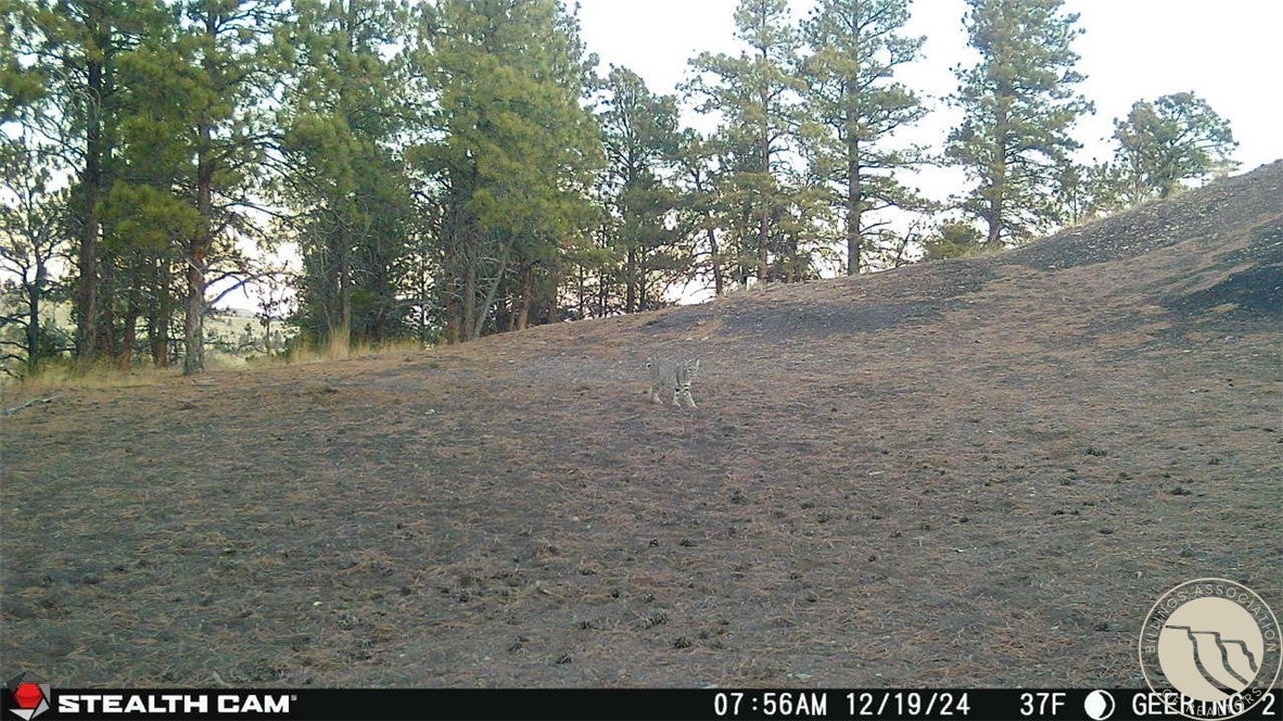 Tbd Gebo Road Fromberg, MT 59029 - Photo 19 of 20 Gallery Image 19