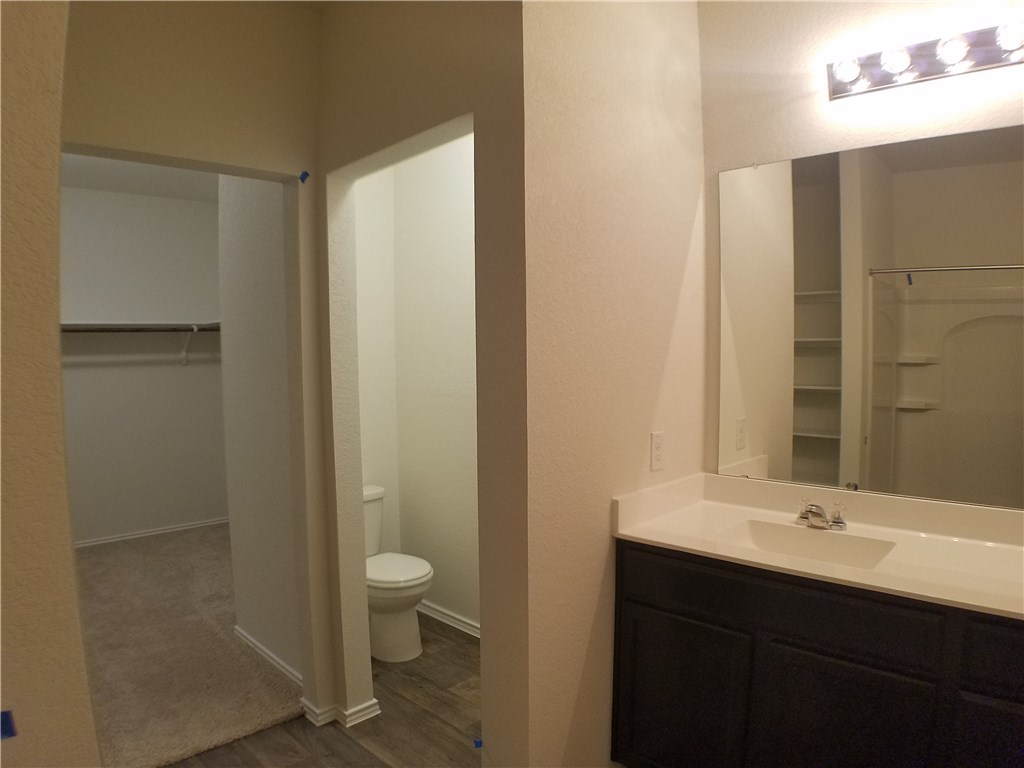 15016 Harkness Pass Austin, TX 78725 - Photo 15 of 25 a bathroom with a sink a toilet a shower and a large mirror