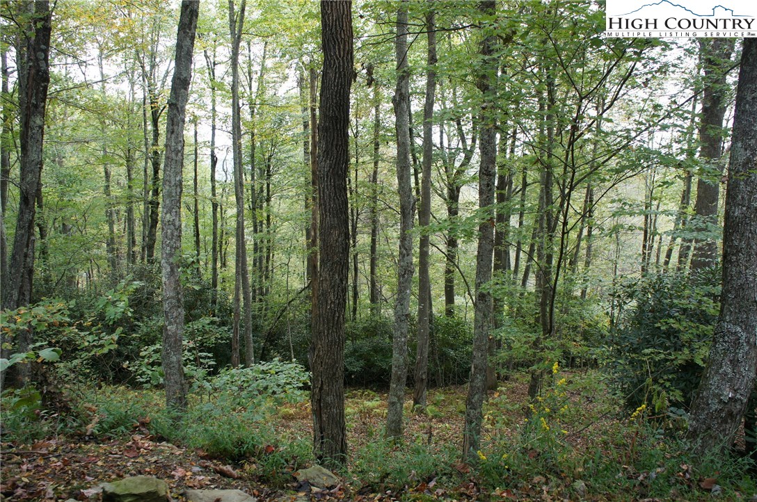 164 Red Rhododendron Road Boone, NC 28607 - Photo 16 of 44 Gallery Image 16