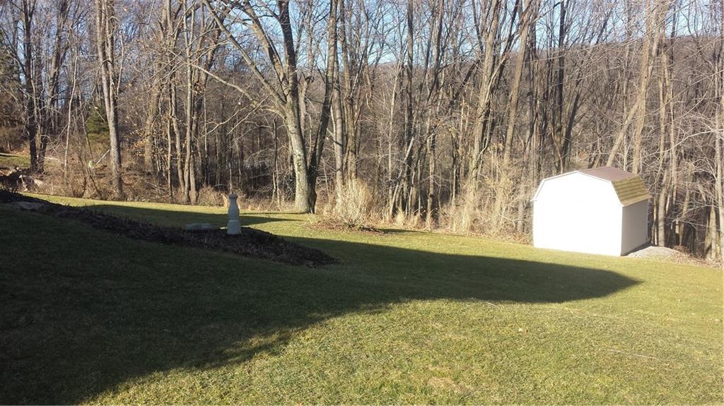 309 Beech Road Butler, PA 16001 - Photo 14 of 15 Back Yard & Shed