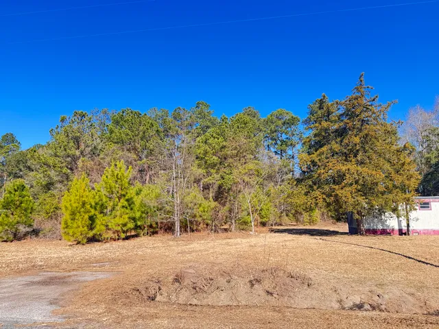 $50,000 | 6080 State Rd S-15-42, Islandton, SC 29929