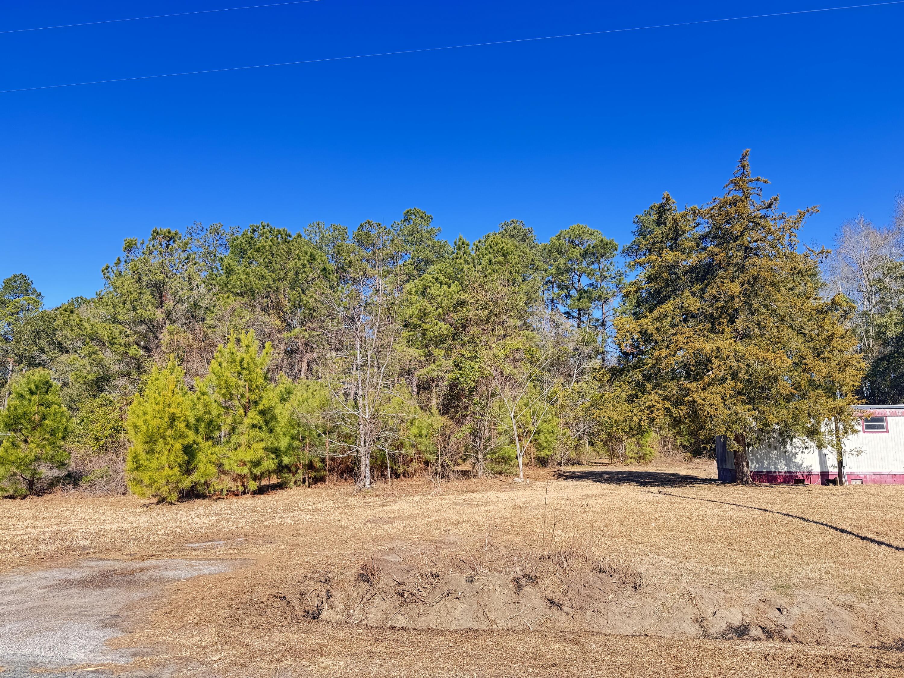 6080 State Rd S-15-42 Islandton, SC 29929 - Photo 3 of 12 6080 Cayce Road (11)
