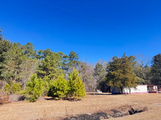 $50,000 | 6080 State Rd S-15-42, Islandton, SC 29929