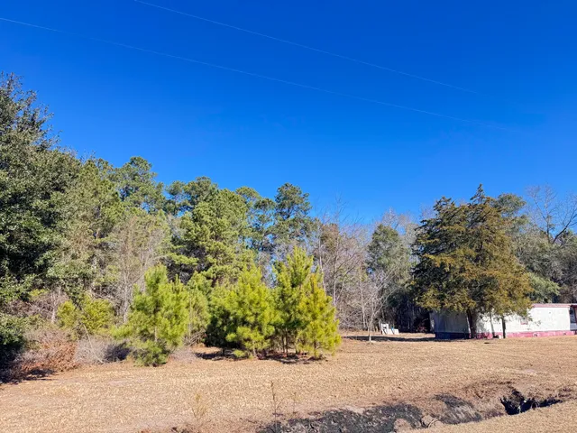$50,000 | 6080 State Rd S-15-42, Islandton, SC 29929