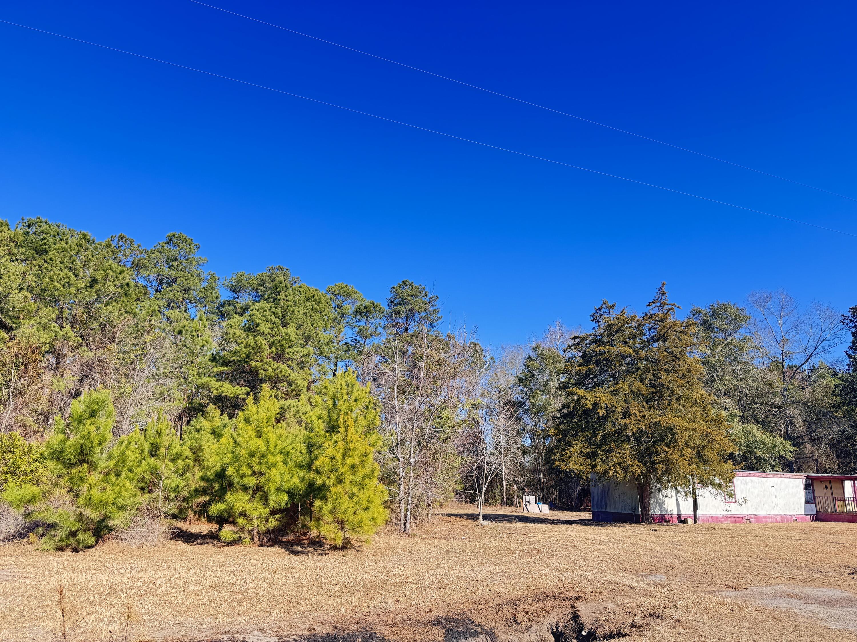 6080 State Rd S-15-42 Islandton, SC 29929 - Photo 10 of 12 6080 Cayce Road (8)