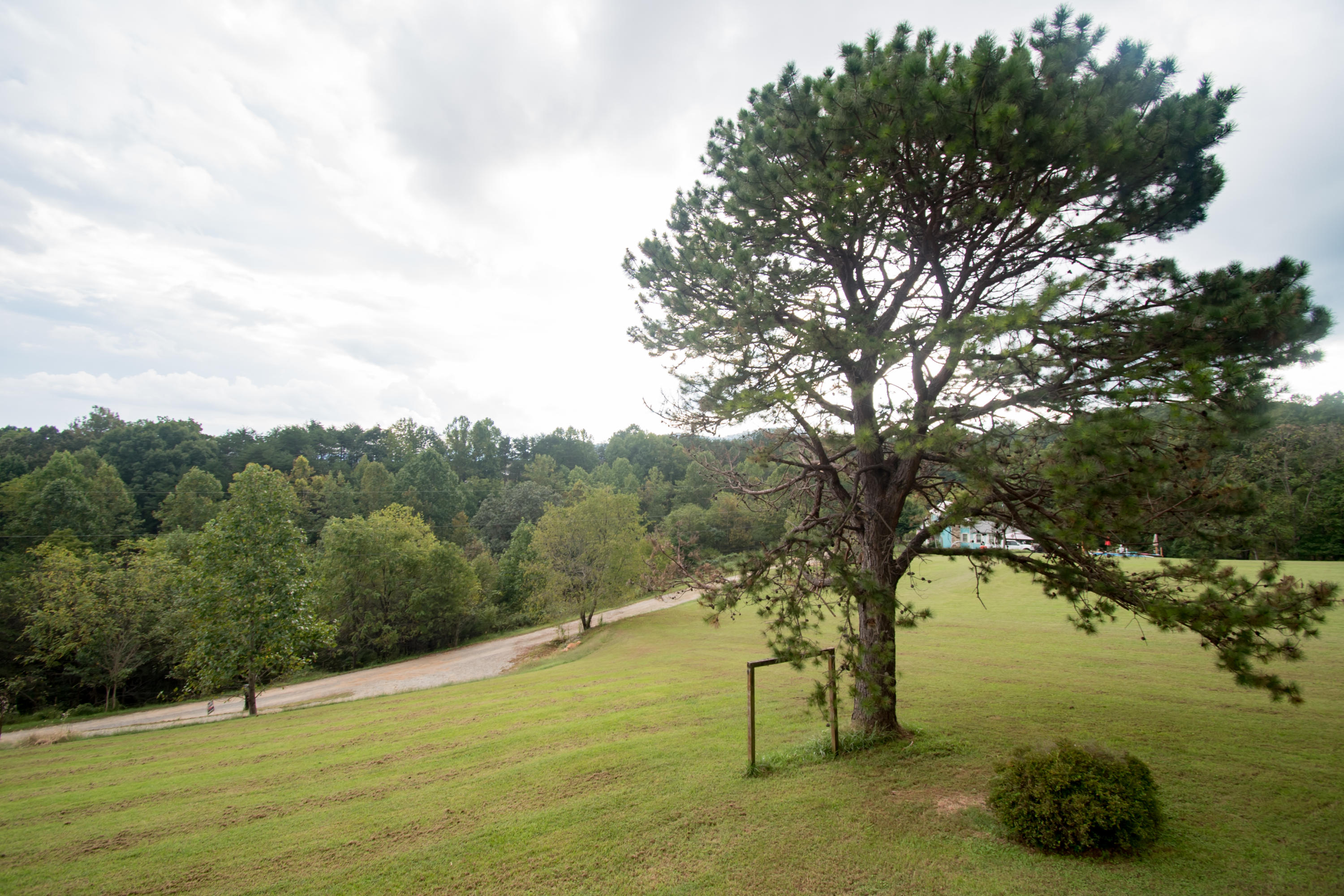 1237 Potters Road Vinton, VA 24179 - Photo 2 of 45 Front Yard