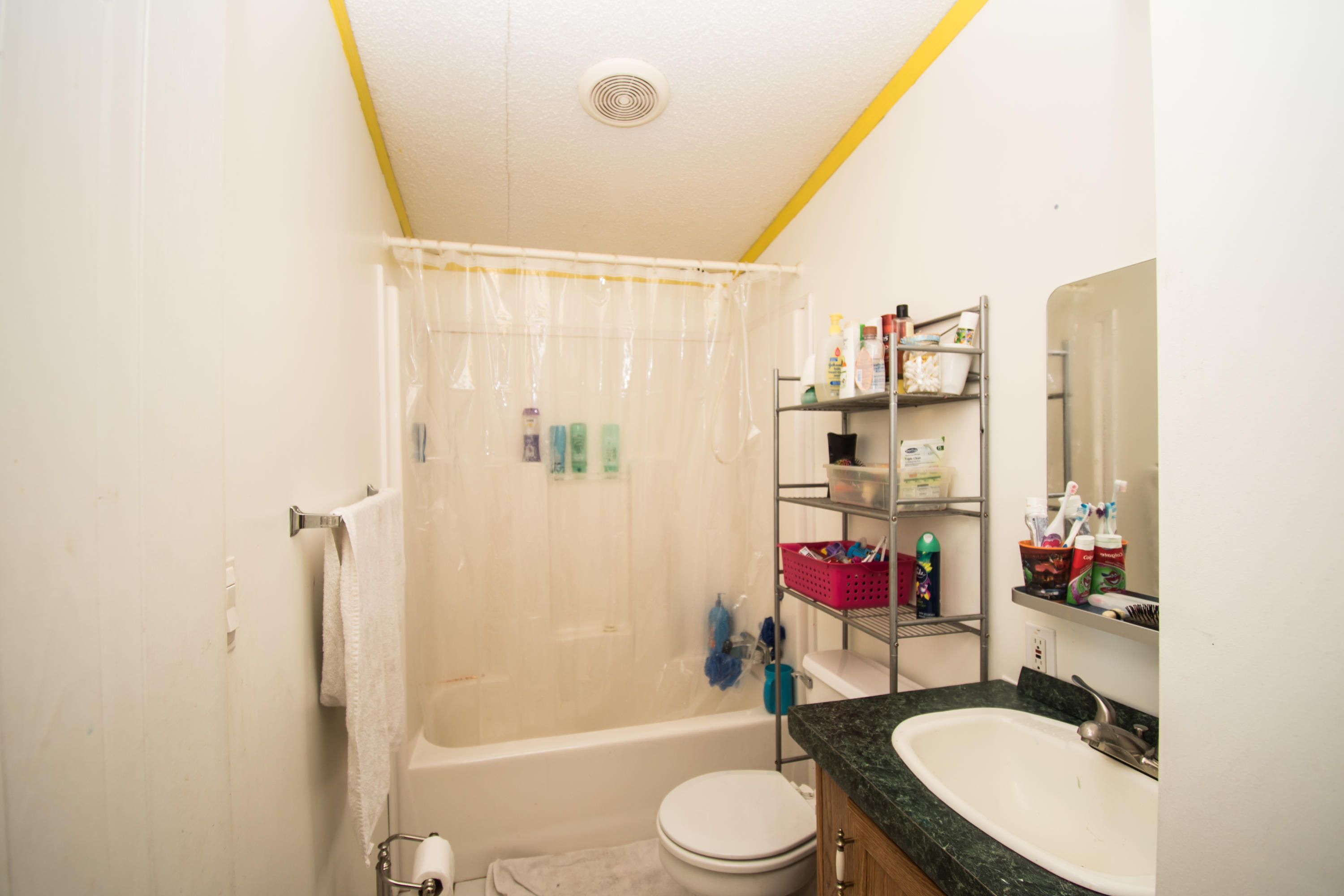 1237 Potters Road Vinton, VA 24179 - Photo 34 of 45 Hall Bathroom