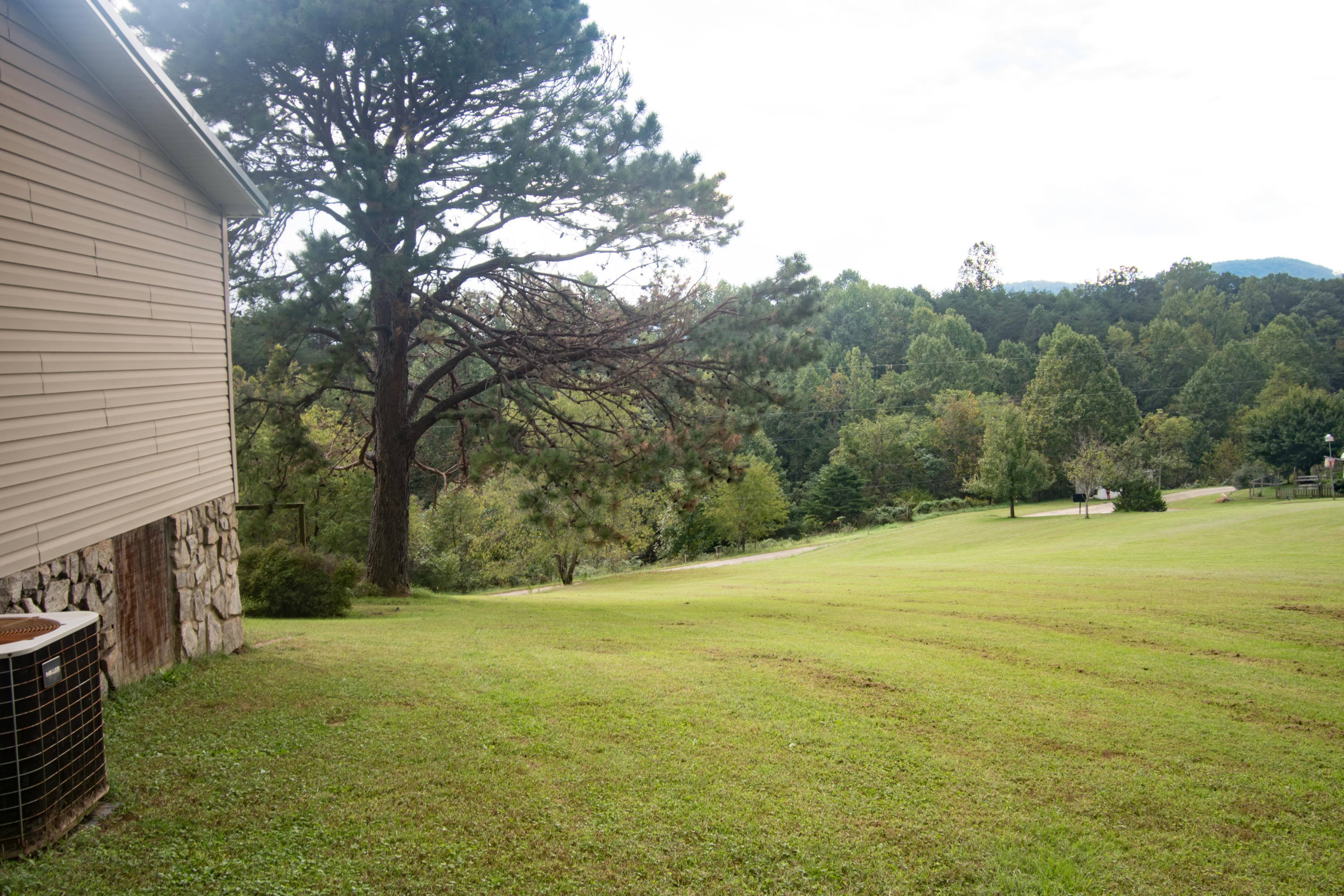 1237 Potters Road Vinton, VA 24179 - Photo 40 of 45 View of Side Yard