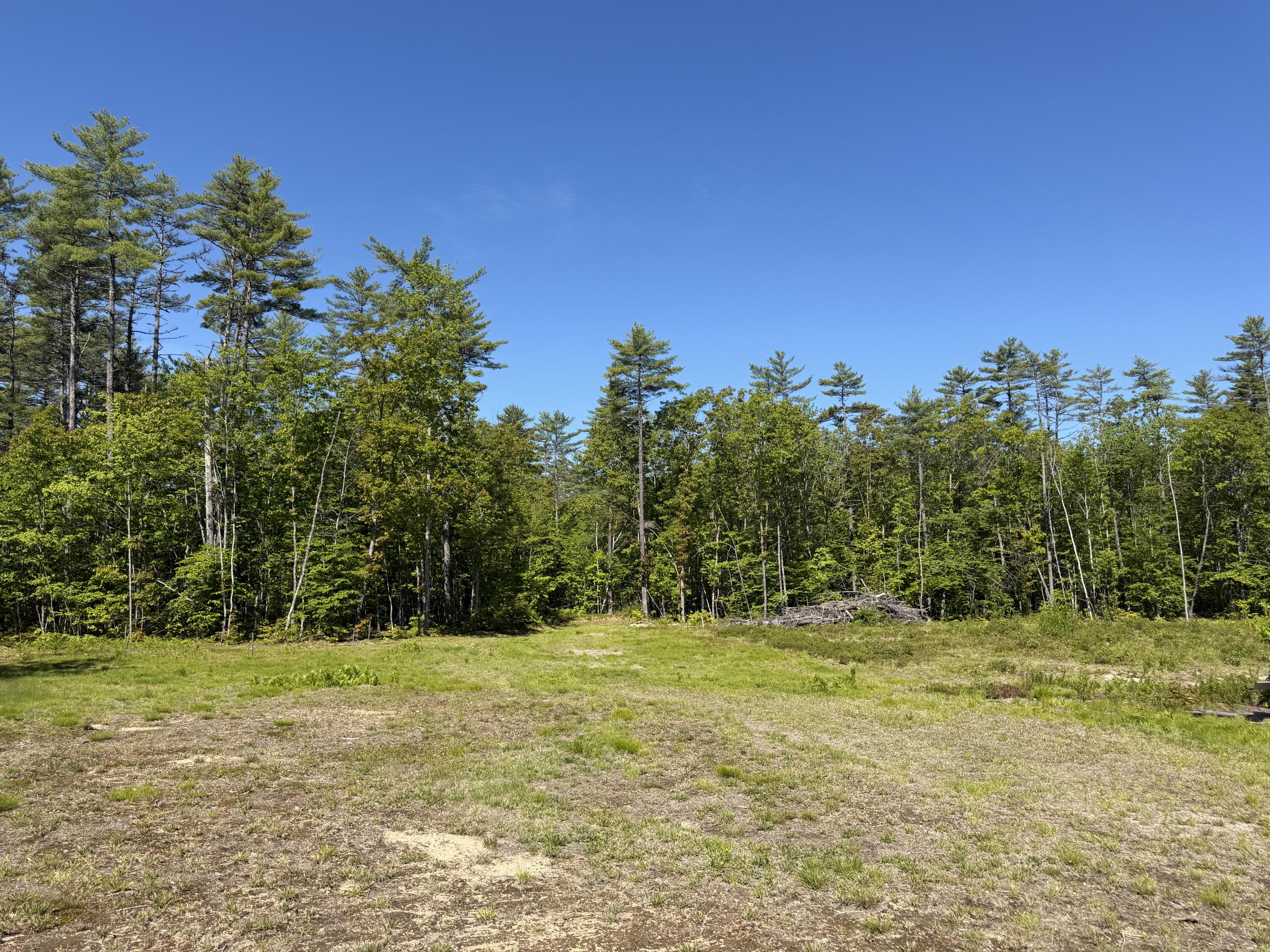 0 Hogfat Hill Road Sebago, ME 04029 - Photo 43 of 60 IMG_3180