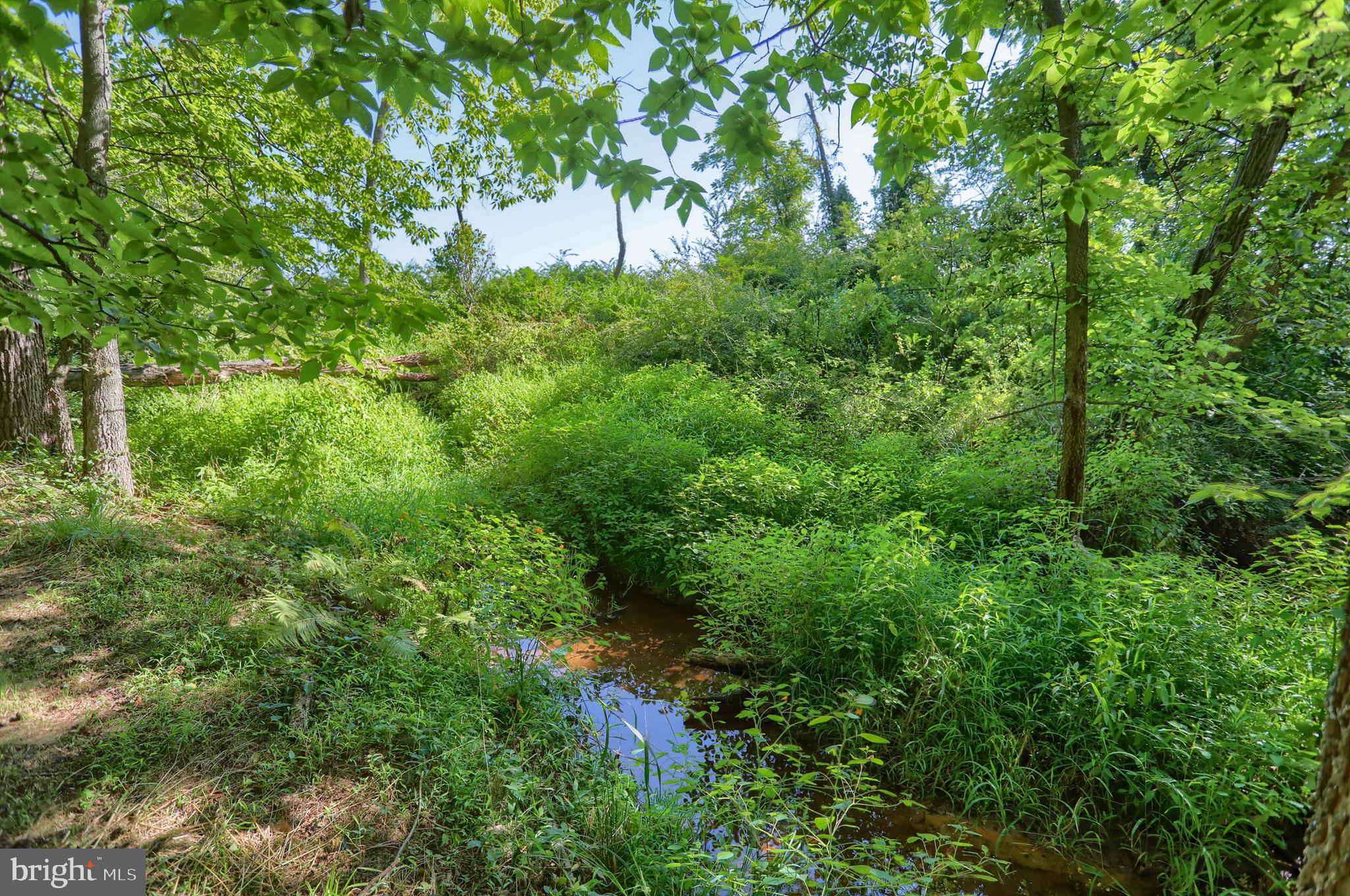 16 Beaver Road Hershey, PA 17033 - Photo 63 of 74 Gallery Image 63