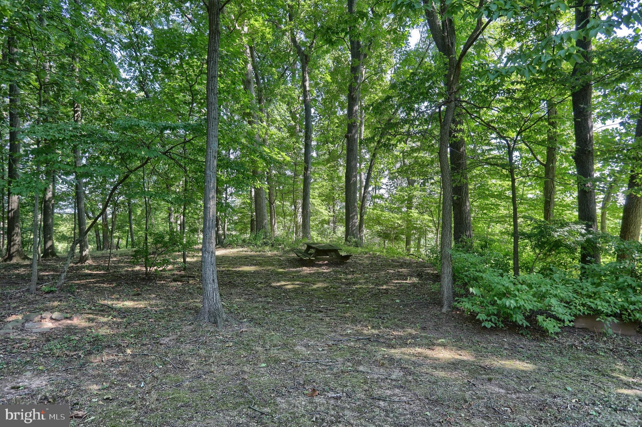 16 Beaver Road Hershey, PA 17033 - Photo 64 of 74 Gallery Image 64