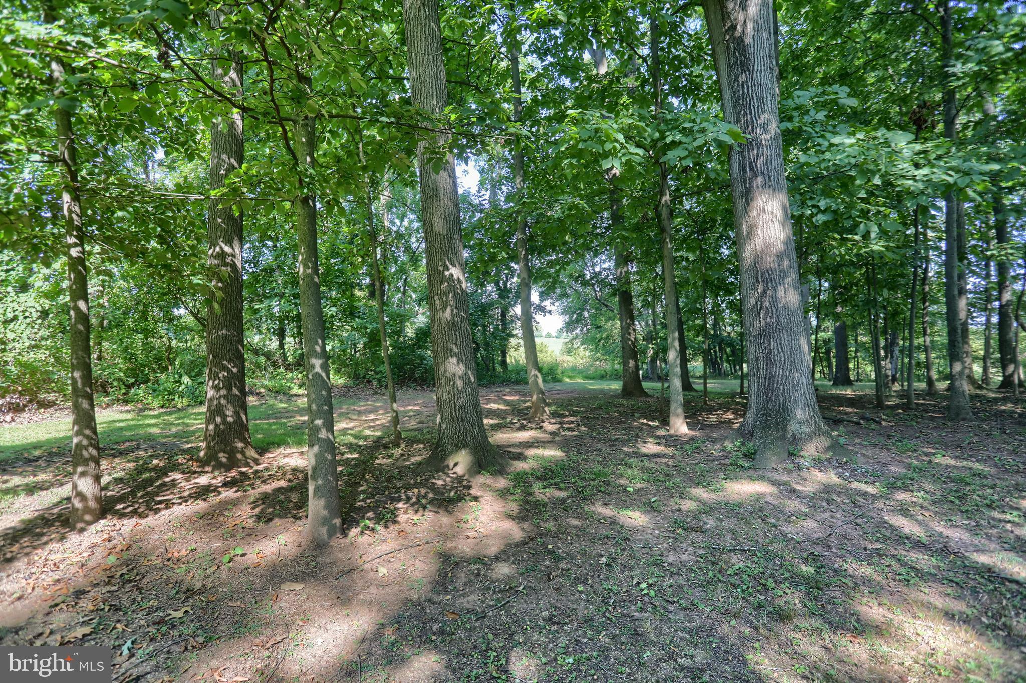 16 Beaver Road Hershey, PA 17033 - Photo 65 of 74 Gallery Image 65