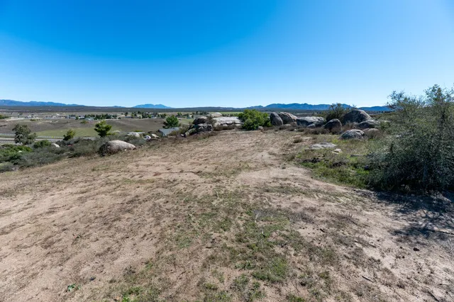 a view of a forest with trees