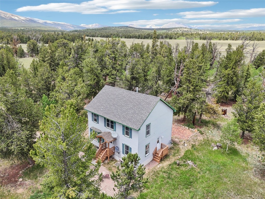 1637 Mullenville Road Fairplay, CO 80440 - Photo 2 of 50 Gallery Image 2
