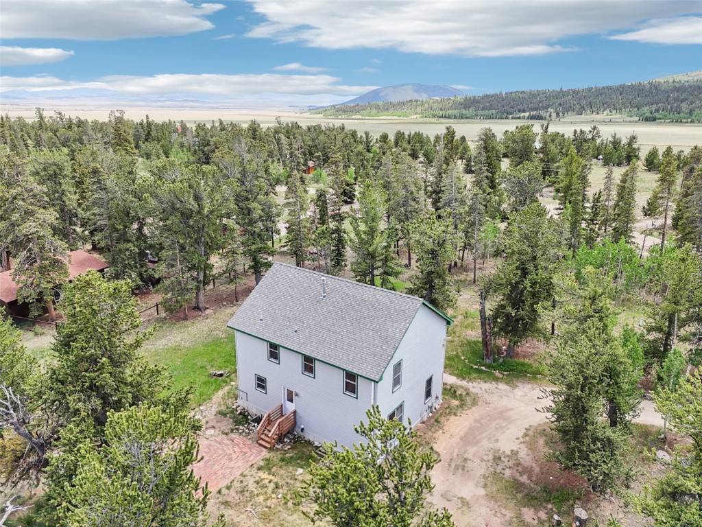 1637 Mullenville Road Fairplay, CO 80440 - Photo 3 of 50 Gallery Image 3