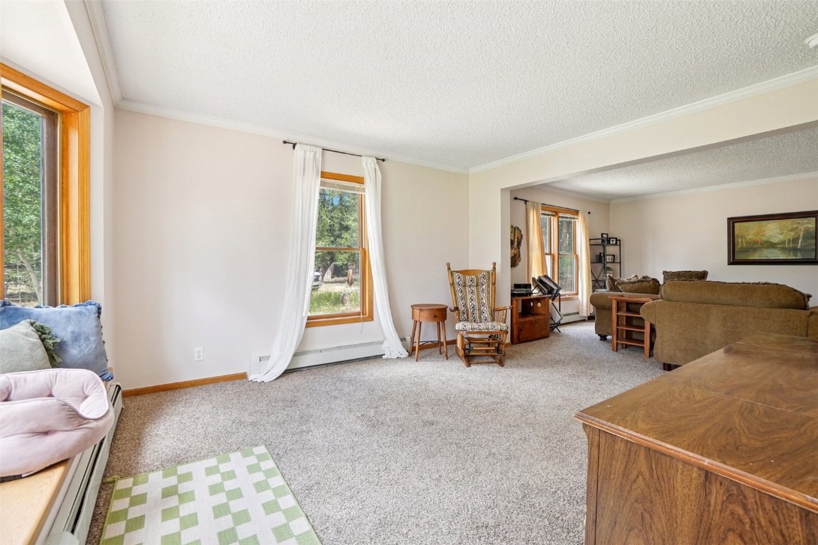 1637 Mullenville Road Fairplay, CO 80440 - Photo 4 of 50 Gallery Image 4